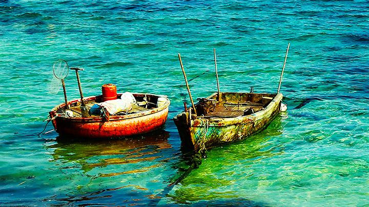 Mầu rêu hòa lẫn mầu của nước biển trên đảo Lý Sơn. Mầu rêu hòa lẫn mầu của nước biển trên đảo Lý Sơn.