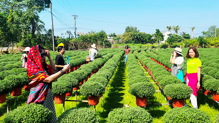 Làng hoa Chợ Lách đón nhiều du khách đến tham quan, chụp ảnh trong mỗi dịp cận Tết.
