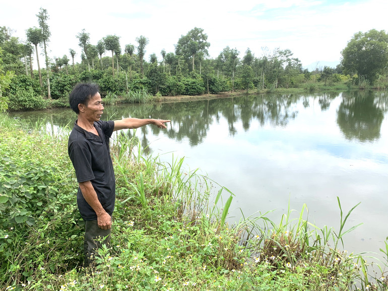 Hồ chứa nước thải của Trang trại chăn nuôi lợn nái sinh sản tại thôn Tân Lợi 1, xã Ea Uy, huyện Krông Pắc do ông Huỳnh Tấn Khánh làm chủ không đúng quy định.