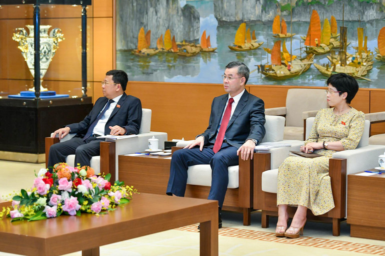 Các đại biểu Việt Nam dự buổi tiếp.