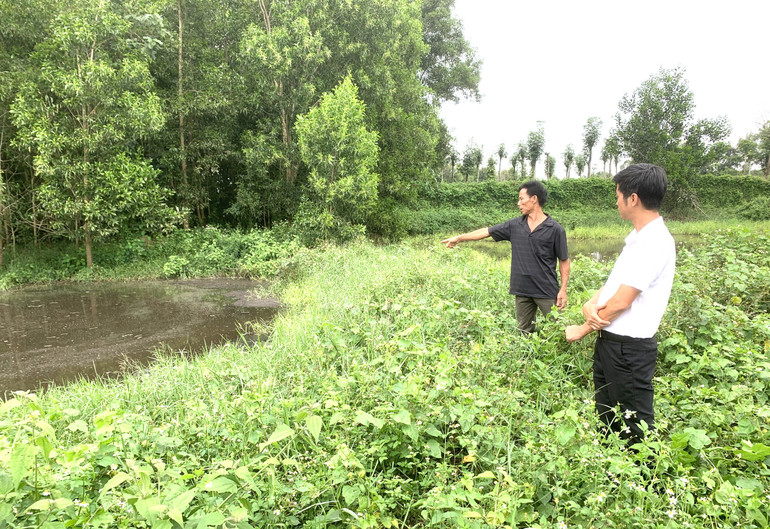 Người dân địa phương bức xúc vì nguồn nước thải của Trang trại chăn nuôi lợn nái sinh sản tại thôn Tân Lợi 1, xã Ea Uy, huyện Krông Pắc gây ô nhiễm môi trường.