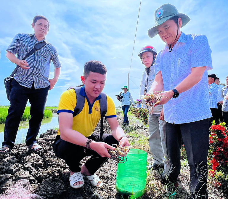 Ngành chức năng Cà Mau kiểm tra chất lượng tôm sú tại đồng lúa xã Trí Lực vào chiều 27/10.