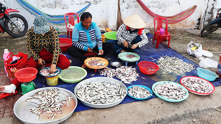 Bán cá ở vùng quê. Bán cá ở vùng quê.