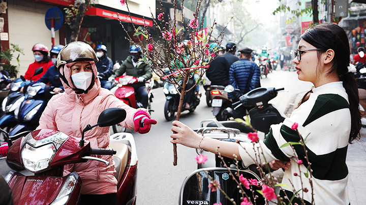 Cành đào nhỏ được nhiều người lựa chọn. Cành đào nhỏ được nhiều người lựa chọn.