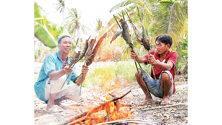 Gia chủ lựa cá đồng ngon nướng ngay tại ruộng để thết đãi chòm xóm đến phụ giúp chụp đìa
