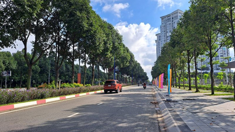 Tỉnh Bình Dương đang tập trung phát triển cây xanh và bảo vệ môi trường.