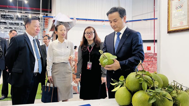 Ông Muraoka Tsugumasa, Thống đốc tỉnh Yamaguchi (bìa phải) và lãnh đạo Tổng công ty Becamex IDC tham quan gian hàng triển lãm sản phẩm OCOP tỉnh Bình Dương vào tháng 11/2022.