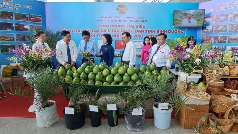 Các đại biểu tham quan các gian hàng triển lãm.