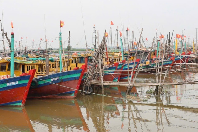 Tàu thuyền neo đậu tại bến cá của Hà Lạn, thị trấn Quất Lâm, huyện Giao Thủy, Nam Định. Tàu thuyền neo đậu tại bến cá của Hà Lạn, thị trấn Quất Lâm, huyện Giao Thủy, Nam Định.