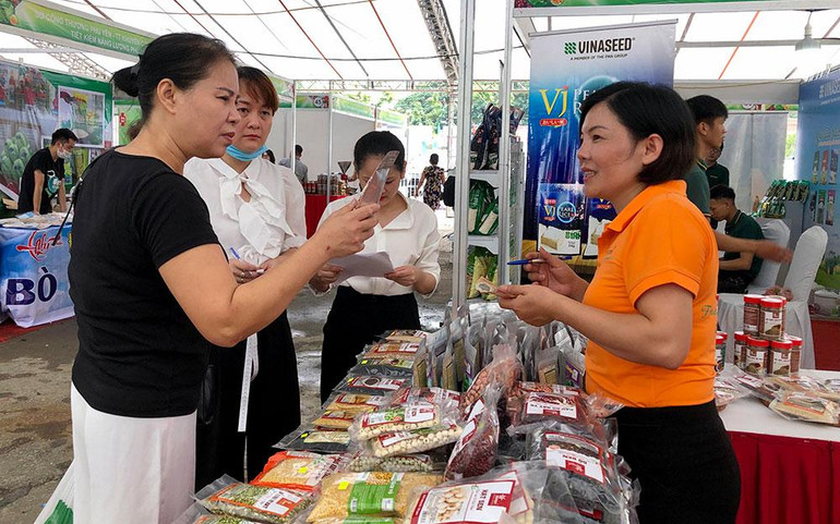 Doanh nghiệp giới thiệu các sản phẩm nông sản, sản phẩm an toàn tới tiểu thương các chợ trên địa bàn Hà Nội. Doanh nghiệp giới thiệu các sản phẩm nông sản, sản phẩm an toàn tới tiểu thương các chợ trên địa bàn Hà Nội.