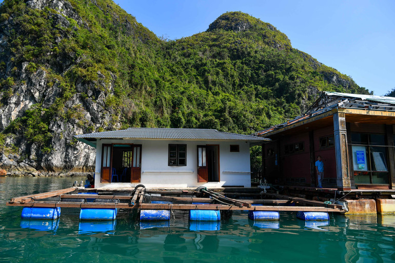 Bè cá phục vụ du lịch trải nghiệm ở Cửa Vạn.