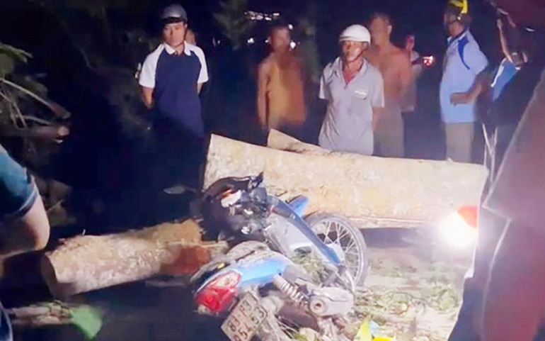 Chiếc xe máy của bà Đ. hư hỏng nặng do cây to ngã đè.