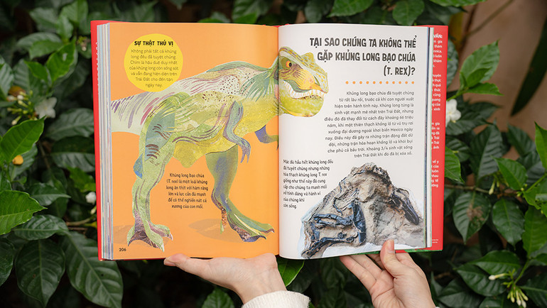 Phần minh họa được trình bày sống động, ấn tượng.