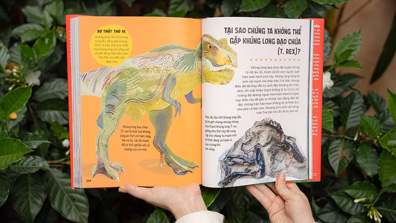 Phần minh họa được trình bày sống động, ấn tượng. Phần minh họa được trình bày sống động, ấn tượng.