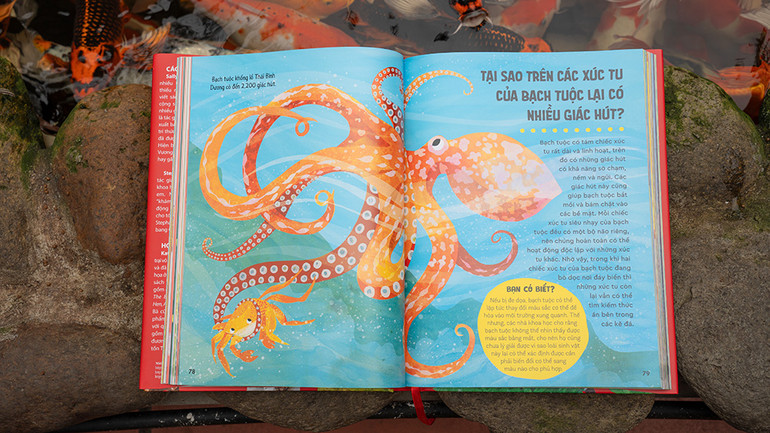 Sách cung cấp những kiến thức cơ bản về động, thực vật cùng nhiều lĩnh vực khác.