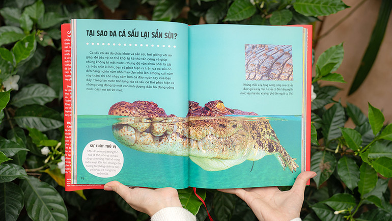 Những chủ đề thú vị được diễn giải ngắn gọn, dễ hiểu.