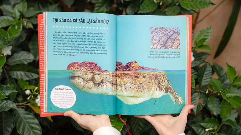 Những chủ đề thú vị được diễn giải ngắn gọn, dễ hiểu. Những chủ đề thú vị được diễn giải ngắn gọn, dễ hiểu.