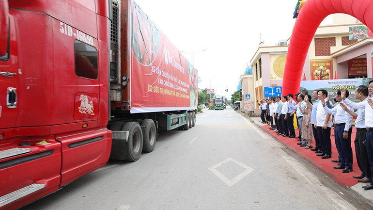 Xe tải vận chuyển vải thiều Lục Ngạn vào chuỗi bán lẻ WCM.