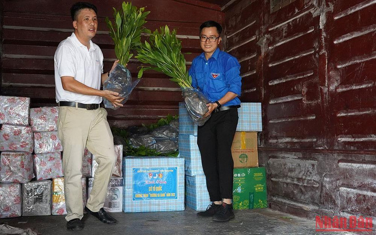 Vận chuyển cây giống ra các đảo. Vận chuyển cây giống ra các đảo.