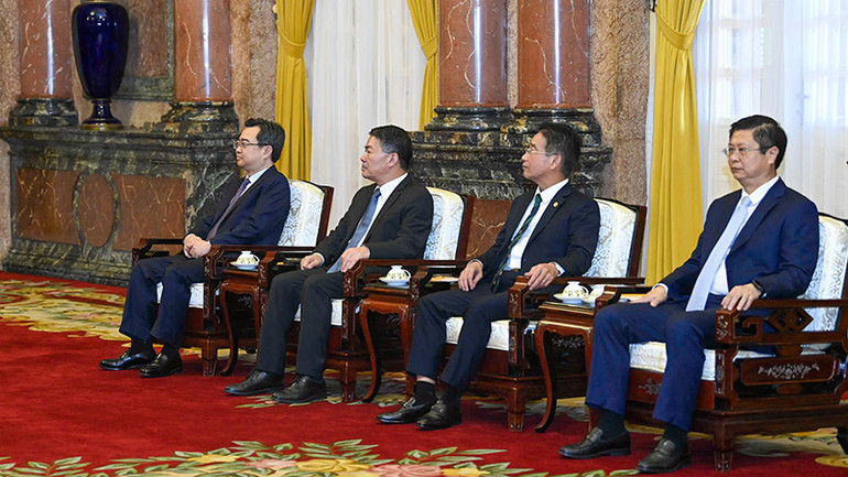 Các đại biểu Việt Nam dự buổi tiếp.