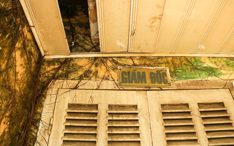 Biển phòng giám đốc bị rễ cây và rêu bao bọc, phủ kín.