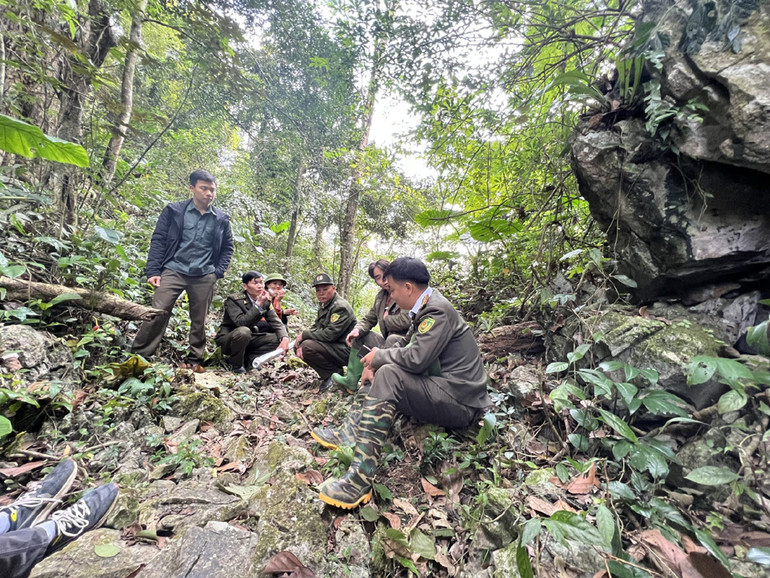 Phút nghỉ ngơi giữa ngày tuần rừng của cán bộ Khu bảo tồn thiên nhiên Kim Hỷ. Phó Hạt trưởng Ban quản lý Khu bảo tồn Phan Tiểu Tuấn (ngoài cùng bên phải) nhớ lại, những năm 2010 đến 2012, khu vực này là điểm nóng bỏng phá rừng. Công an, kiểm lâm phải căng bạt, dựng chốt ở khắp các nẻo đường. Đêm mùa đông, lửa đốt dưới, nước bốc hơi gặp mái bạt lạnh, đọng lại rơi như mưa. Rất may nhờ nhiều biện pháp mạnh giờ tình hình đã ổn, rừng đã bình yên trở lại.