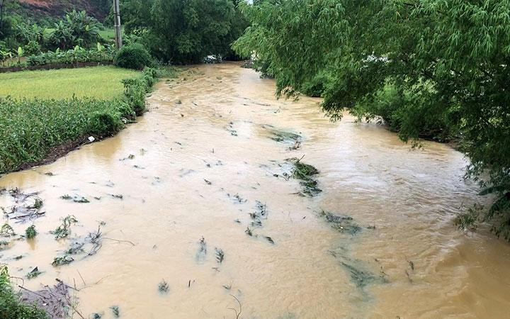 Nhiều diện tích lúa và hoa màu bị ngập úng.