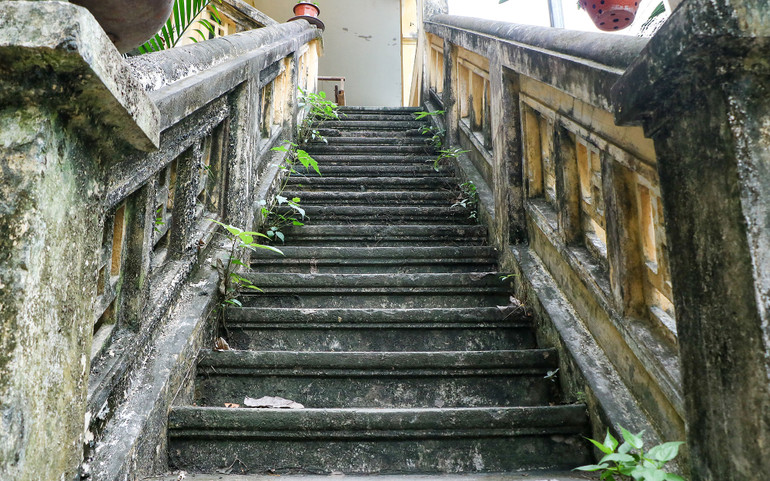 Cầu thang ẩm mốc, cây mọc xung quanh do nhiều năm không có người đi lại và chăm sóc.