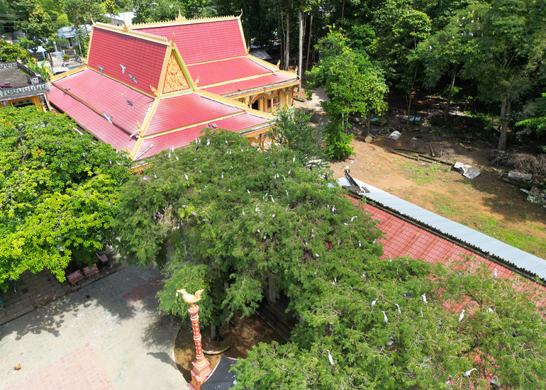 Chùa Hang không chỉ hấp dẫn du khách bởi vẻ đẹp cổ kính, mà còn bởi sự độc đáo của sân chim và những tác phẩm điêu khắc mỹ nghệ do chính những đôi bàn tay khéo léo, tài hoa của các vị sư nghệ nhân của nhà chùa kỳ công sáng tạo.