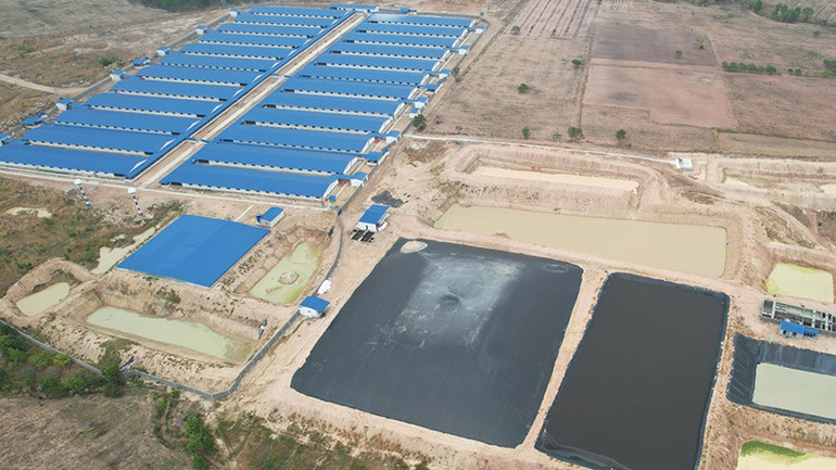 Dù đã tổ chức hoạt động chăn nuôi nhưng các đơn vị không có giấy phép bảo vệ môi trường theo quy định.