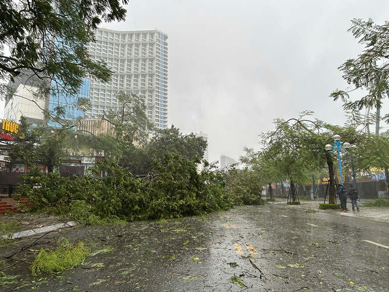 Cây xanh nằm ngổn ngang trên các đường phố.