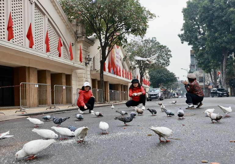 Khoảnh khắc bình yên ngày đầu năm mới Giáp Thìn.