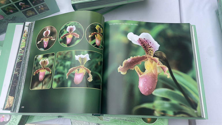 Nhiều loài hoa hiếm được giới thiệu trong sách. Nhiều loài hoa hiếm được giới thiệu trong sách.