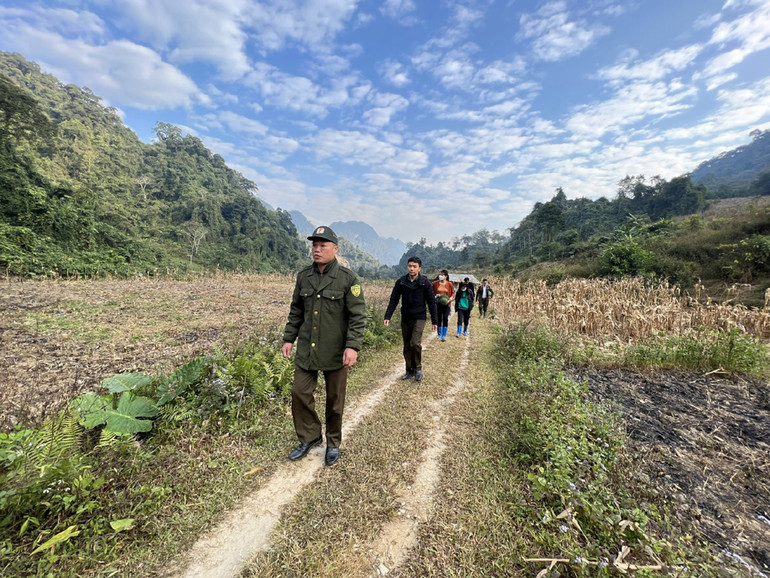 Tổ tuần rừng xuất phát từ vùng đệm là nương ngô của người dân. Những ngày cận Tết 2023, việc tuần tra càng phải được tiến hành thường xuyên hơn vì ngoài phát hiện, ngăn chặn lâm tặc còn phải kiểm tra rừng khi khí hậu lạnh khô, có nắng, tiềm ẩn nguy cơ cháy rừng cao.