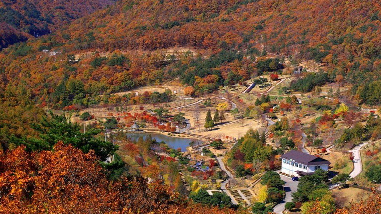 Cảnh quan tỉnh Gyeongsangbuk-do.