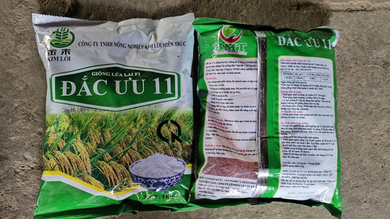 Giống lúa người dân mua về nhưng chưa gieo cấy.