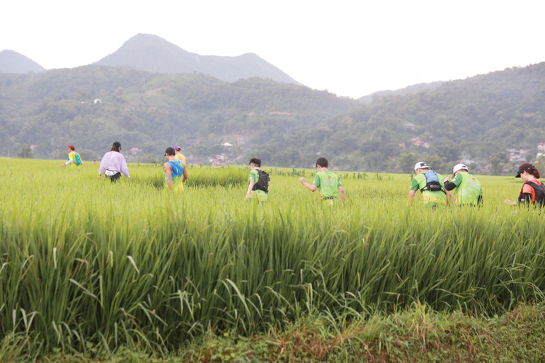 Cung đường chạy qua cánh đồng Mường Than, cánh đồng lớn thứ 3 khu vực Tây Bắc.