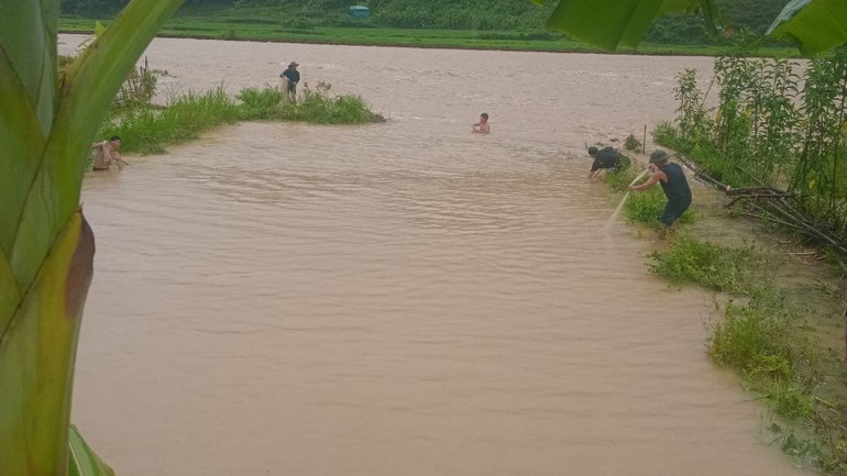 Mưa lũ làm ngập nhiều diện tích ao cá của người dân xã Bum Nưa huyện Mường Tè.