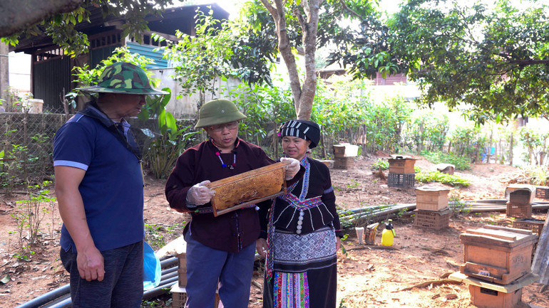Ông Tao Văn Kẻo chia sẻ kinh nghiệm nuôi lấy mật cho mọi người.
