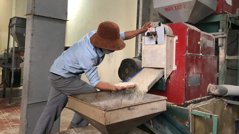 Cơ sở chế biến gạo, bao tiêu toàn bộ đầu ra cho người dân với mức giá ổn định đã được kí kết trước đó.
