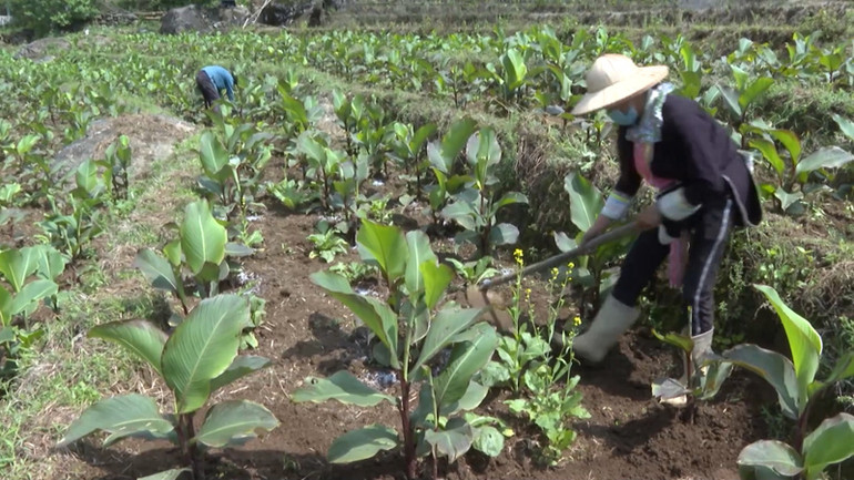 Thông qua chương trình giúp phụ nữ dân tộc thiểu số khởi nghiệp từ những thế mạnh sẵn có của địa phương. Thông qua chương trình giúp phụ nữ dân tộc thiểu số khởi nghiệp từ những thế mạnh sẵn có của địa phương.