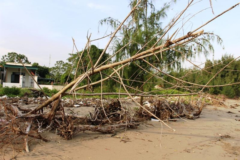 Nhà dân ở thôn Tân Xuân, xã Hoằng Phụ trước ẩn họa từ biển.