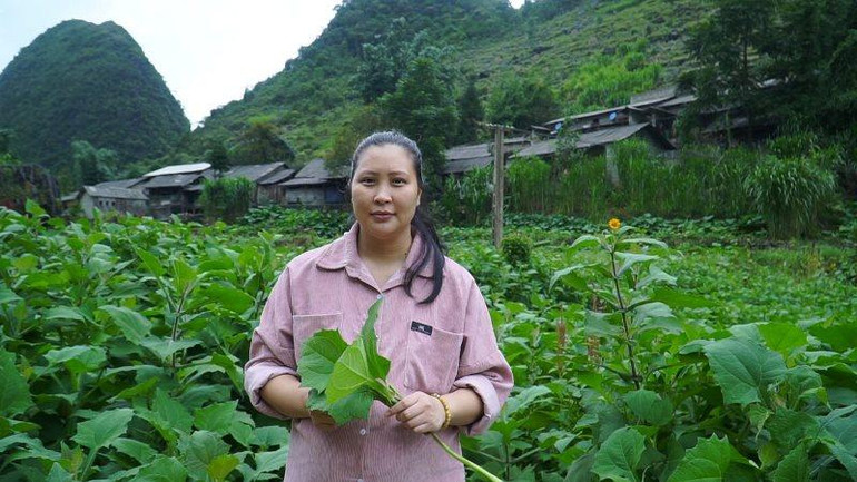 Thấu hiểu những vất vả của người Cờ Lao chị Hòa dứt bỏ sự nghiệp đang vào độ chín, lập HTX Nông Lâm nghiệp và Dịch vụ thương mại tổng hợp Po Mỷ.