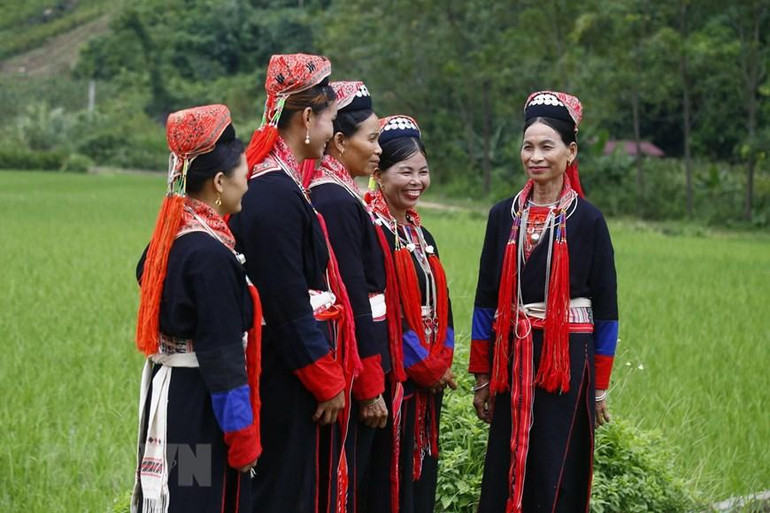 Ngắm trang phục truyền thống người Dao Thanh Y ở Tuyên Quang ảnh 1