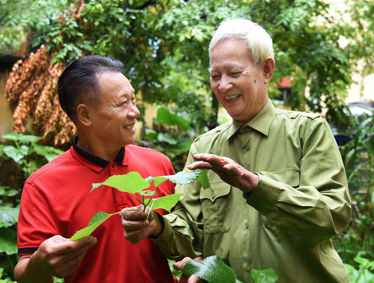 Ông cũng sẵn sàng truyền dạy những bài thuốc quý, bài thuốc hay cho các thế hệ thầy thuốc đông y trên khắp cả nước. Trong ảnh: Thầy thuốc ưu tú Trần Văn Nhân hướng dẫn bài thuốc, cây thuốc quý cho lương y Trương Văn Lập.