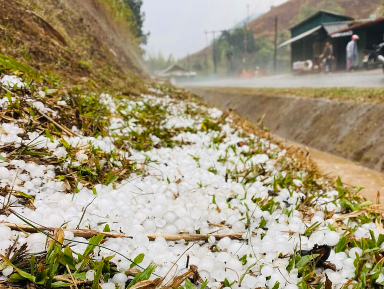 Mưa đá xảy ra diện rộng tại huyện Mù Cang Chải. (Ảnh: THANH SƠN)