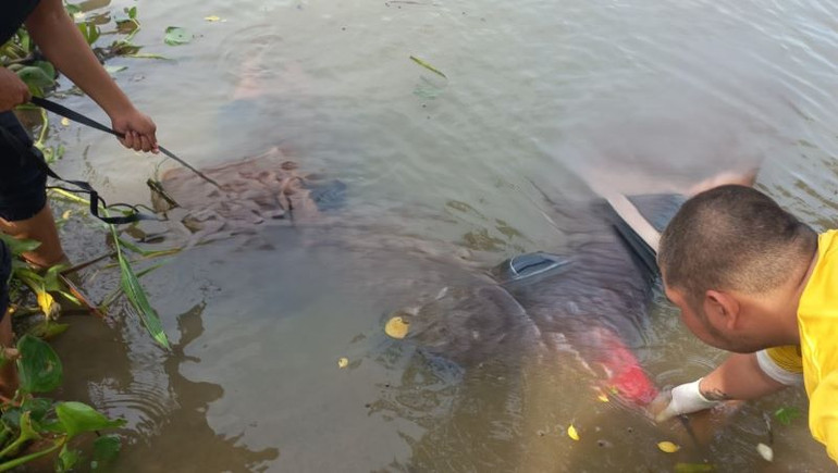 Thi thể 2 cháu bé 14 tuổi trong vụ đuối nước thương tâm đã được tìm thấy. Thi thể 2 cháu bé 14 tuổi trong vụ đuối nước thương tâm đã được tìm thấy.