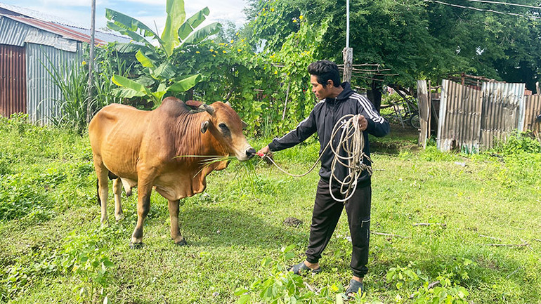 Anh Mang Văn Sướng (dân tộc Raglai, xã Hàm Cần, huyện Hàm Thuận Nam) đã cải thiện kinh tế gia đình nhờ vay vốn nuôi trâu, bò.