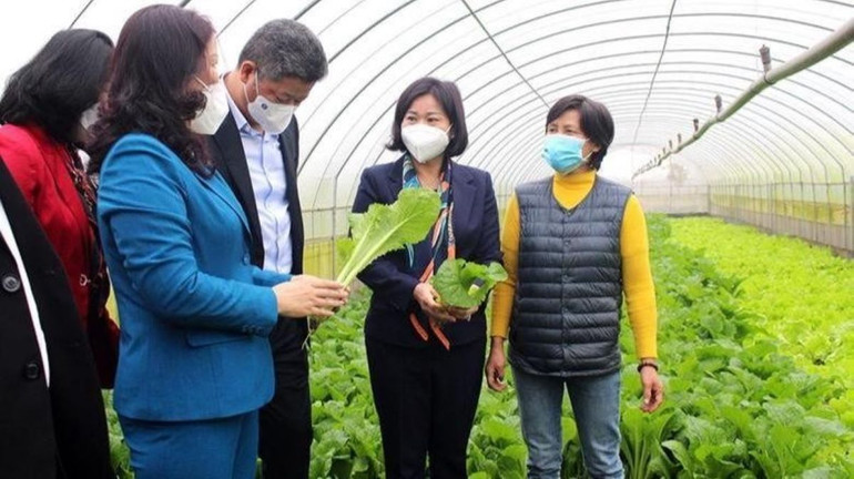 Khởi nghiệp từ 3 sào đất, đến nay trang trại hữu cơ của bà Cuối có tổng diện tích hơn 5,4ha gồm 80 nhà màng với phương châm “mùa nào thức ấy”.