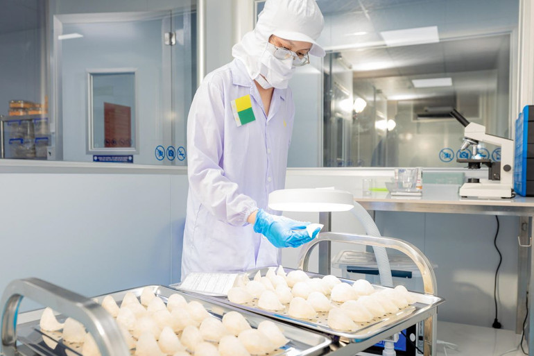 Để được thông quan sang thị trường Pháp, sản phẩm yến sào phải đáp ứng những tiêu chuẩn khắt khe của nước sở tại.